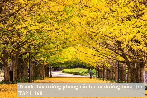Tranh dán tường phong cảnh hồ thác, cây cối T321-570